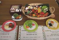 shokuseikatukaizen